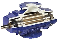 2504_whispair_max